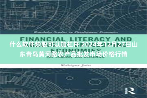 什么软件炒股可以加杠杆 2024年12月27日山东青岛黄河路农产品批发市场价格行情