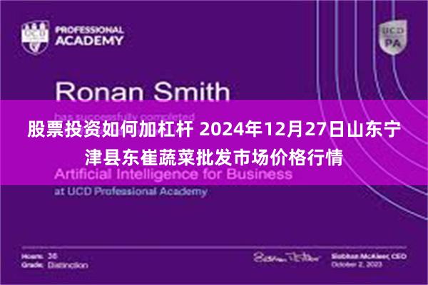 股票投资如何加杠杆 2024年12月27日山东宁津县东崔蔬菜批发市场价格行情