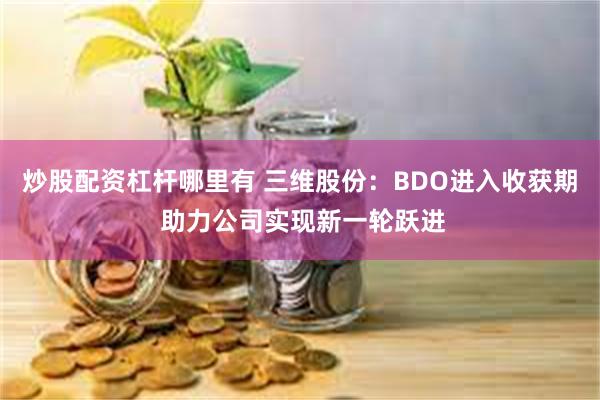 炒股配资杠杆哪里有 三维股份：BDO进入收获期 助力公司实现新一轮跃进