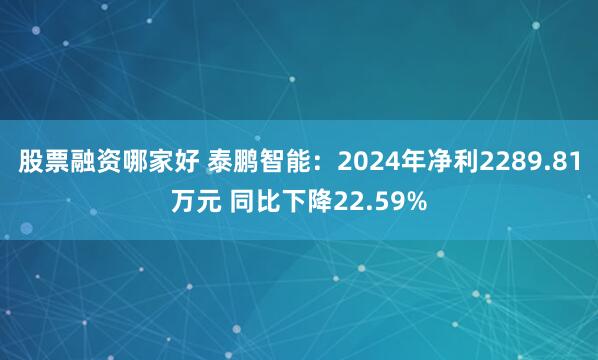 股票融资哪家好 泰鹏智能：2024年净利2289.81万元 同比下降22.59%